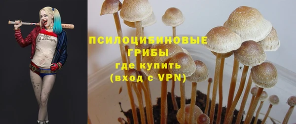 соль ск Осинники