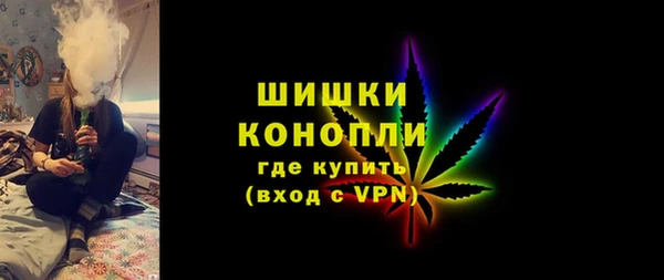 амф Осташков