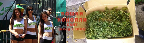 соль ск Осинники